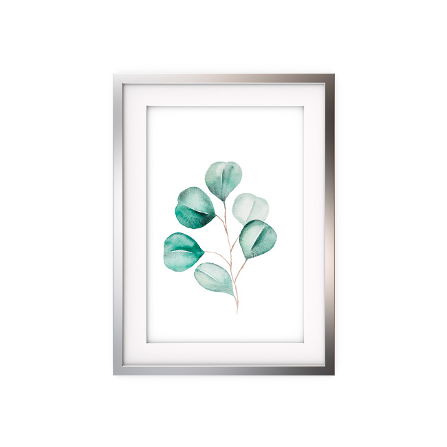 emocionarte-cuadros-botanica-hojas-cp-01