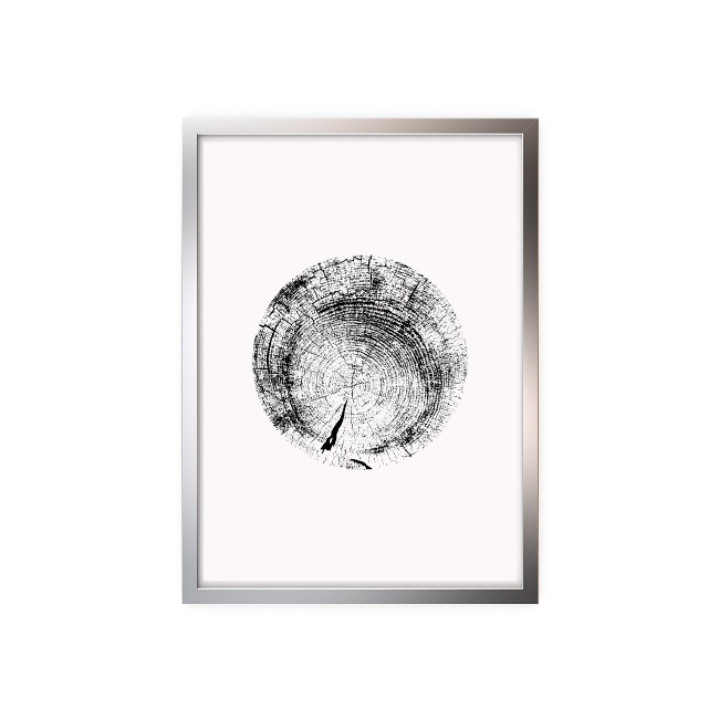 emocionarte-cuadros-fotografias-naturaleza-sp-01