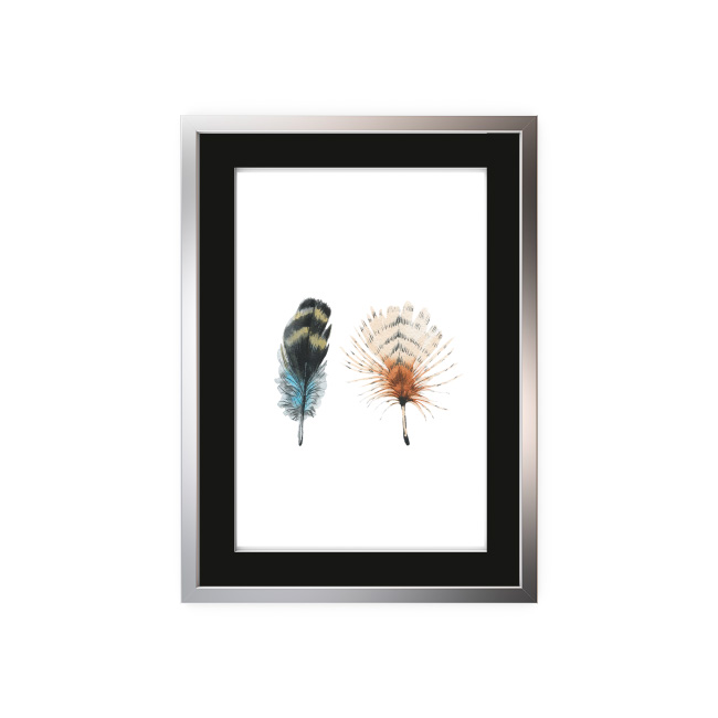 emocionarte-cuadros-naturaleza-aves-cp-01