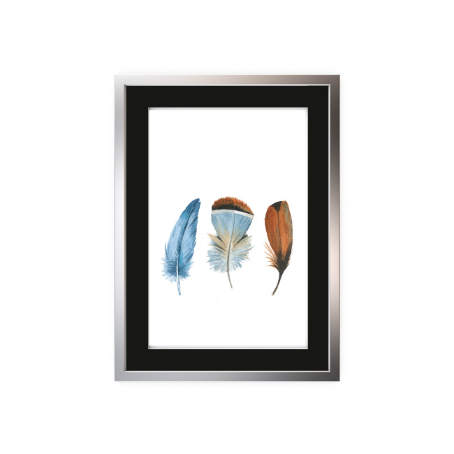 emocionarte-cuadros-naturaleza-aves-cp-02
