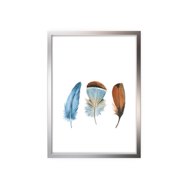 emocionarte-cuadros-naturaleza-aves-sp-02
