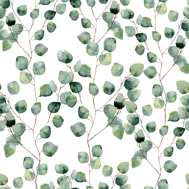 emocionarte-papel-mural-botanica-naturaleza-ficus-03-01