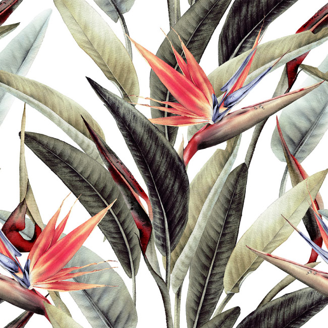 emocionarte-papel-mural-botanica-ave-paraiso-01-01