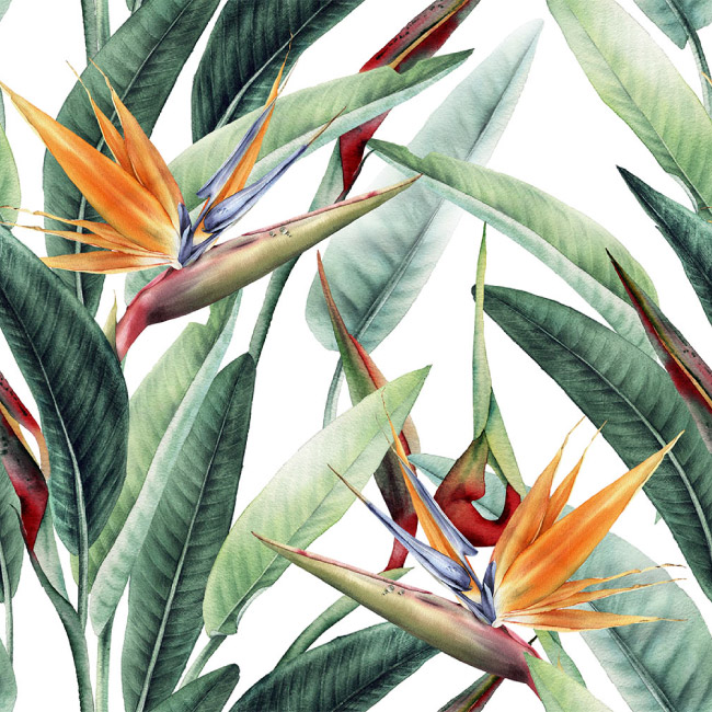 emocionarte-papel-mural-botanica-ave-paraiso-02-01