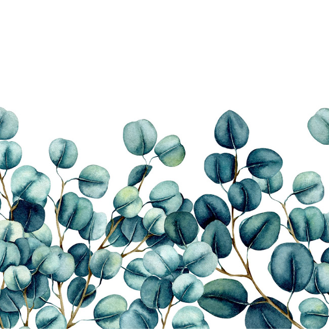 emocionarte-papel-mural-botanica-naturaleza-ficus-07-01