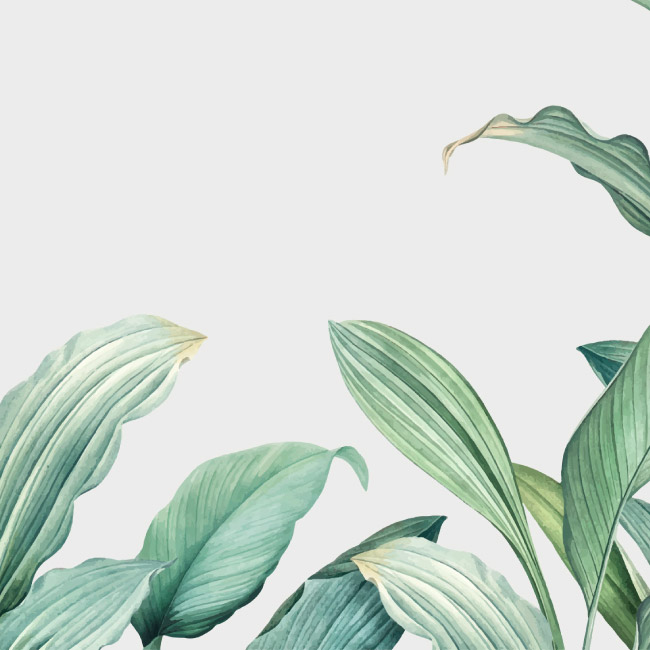 emocionarte-papel-mural-botanica-naturaleza-lirios-01