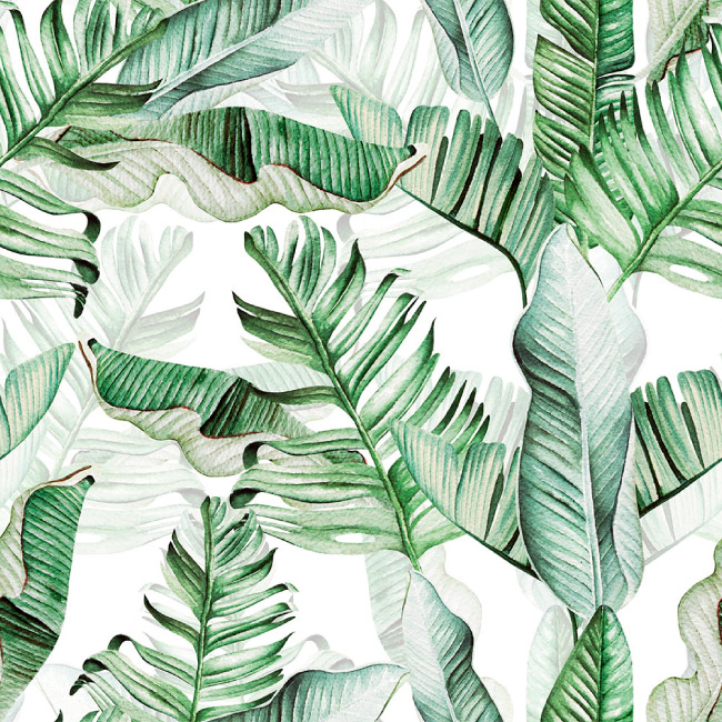 emocionarte-papel-mural-botanica-naturaleza-monstera-01